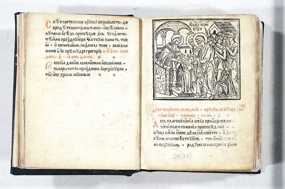 Erazmo, književnost