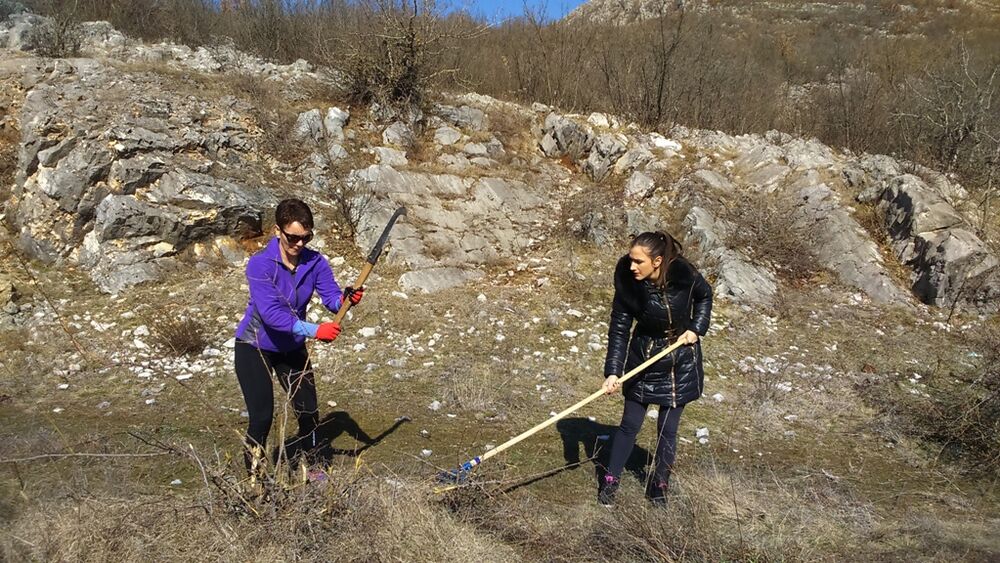 Nikšić, izviđači