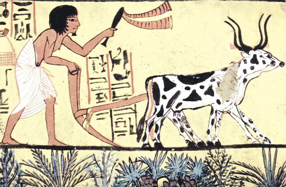 matematičari (novine)