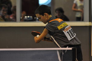 Radović i Hergeling u polufinalu dublova