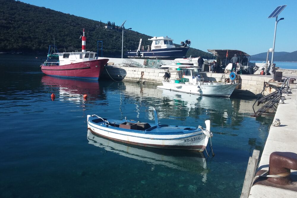 ribarski čamac, Foto: Siniša Luković