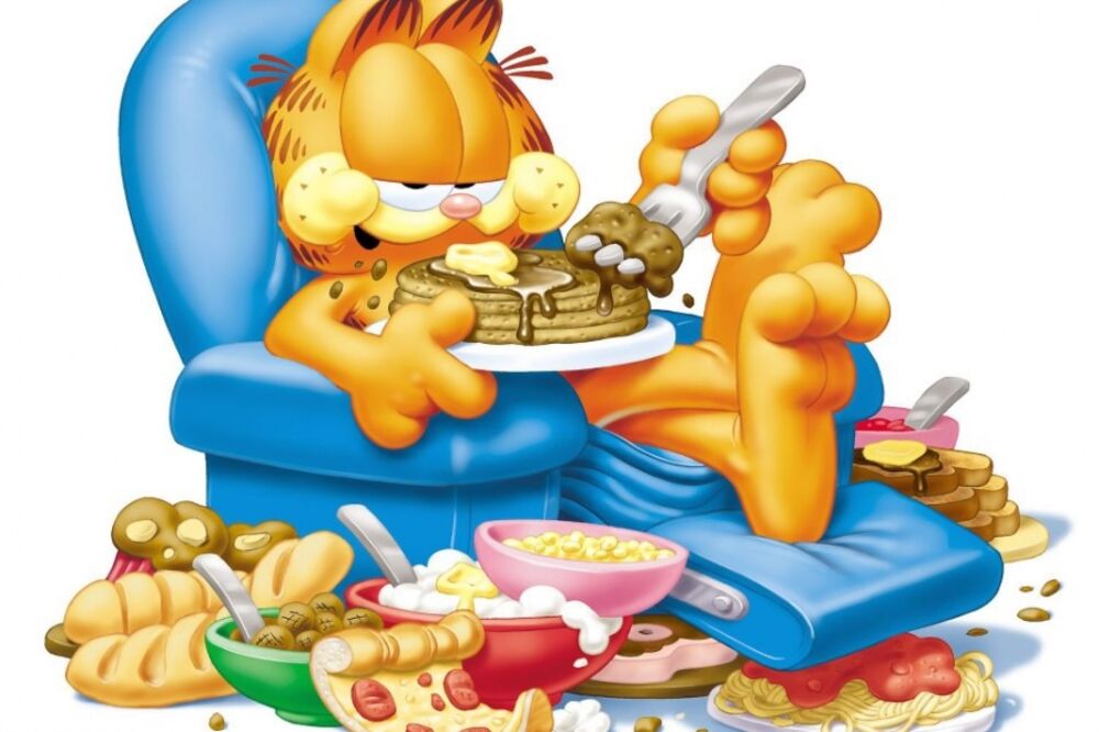 Garfild, Foto: Facebook