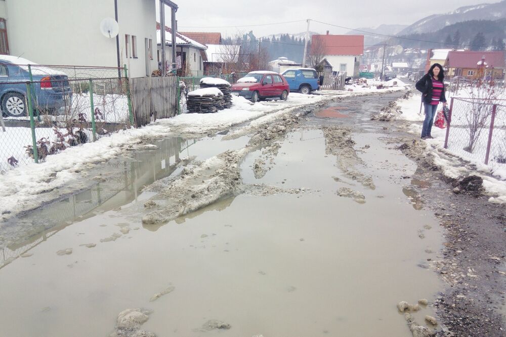 Lug, Foto: Dragana Šćepanović