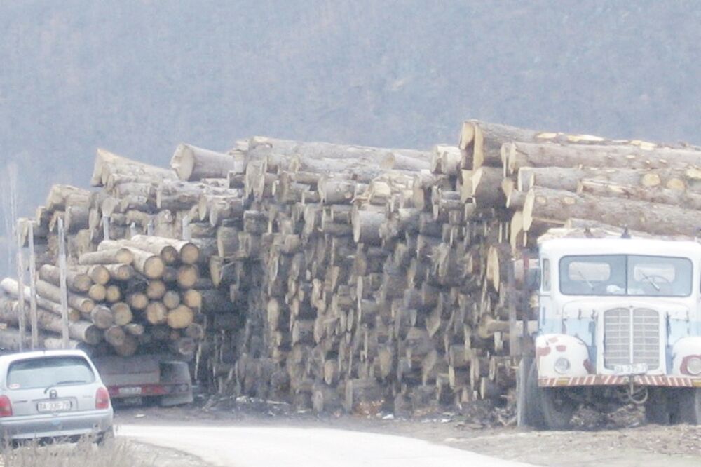 drva, Berane, Foto: Tufik Softić