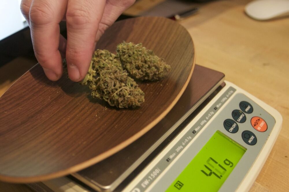 marihuana, kanabis, Foto: Reuters