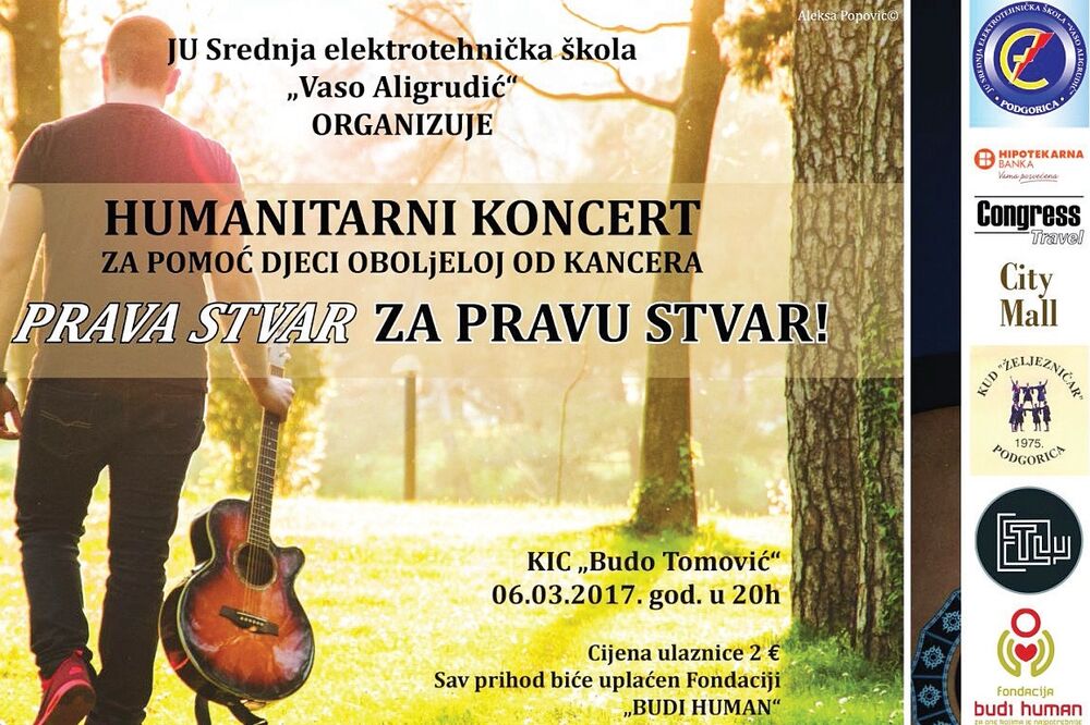 koncert elektro, Foto: "Vaso Aligrudić"