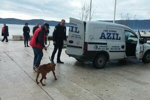 Lazović: Pas je zdrav, a vlasnik ga je tražio nazad