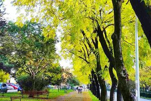 DPS-u sve, a Liverpulu ništa