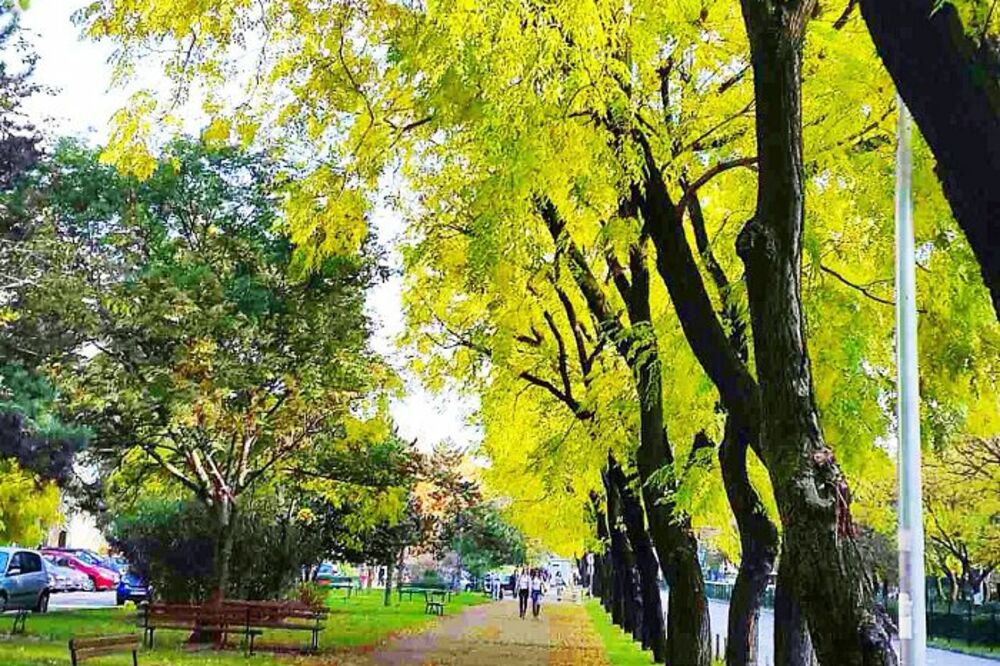 Bulevar svetog Petra Cetinjskog, Foto: Architecturendesign.net