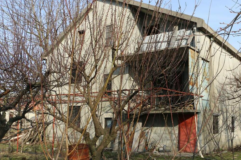 Aleksa Bečić, imovina, Foto: Demokrate