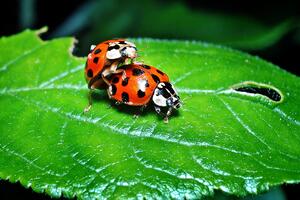 Kuda vodi sebičnost u seksu