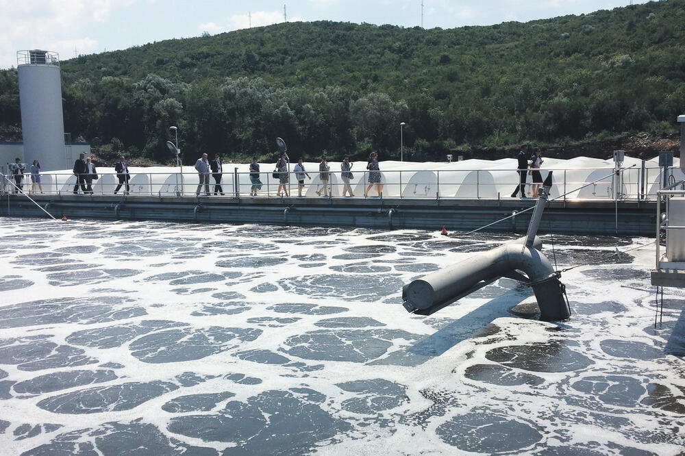 Kolektor, Foto: Siniša Luković