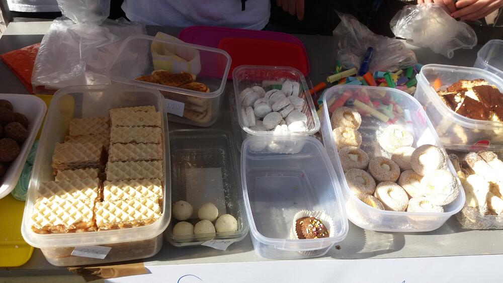 Humanitarna akcija Berane