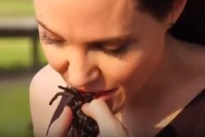 Pogledajte kako Anđelina Džoli priprema i jede paukove
