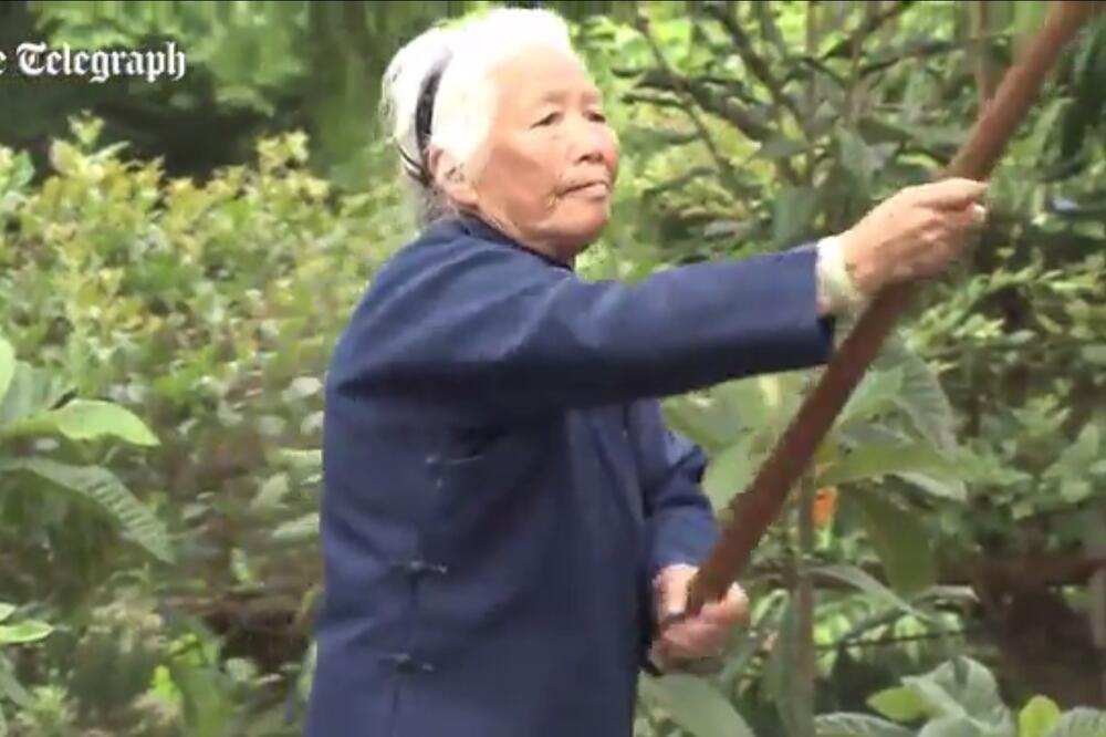 Kung Fu baka, Foto: Screenshot (YouTube)