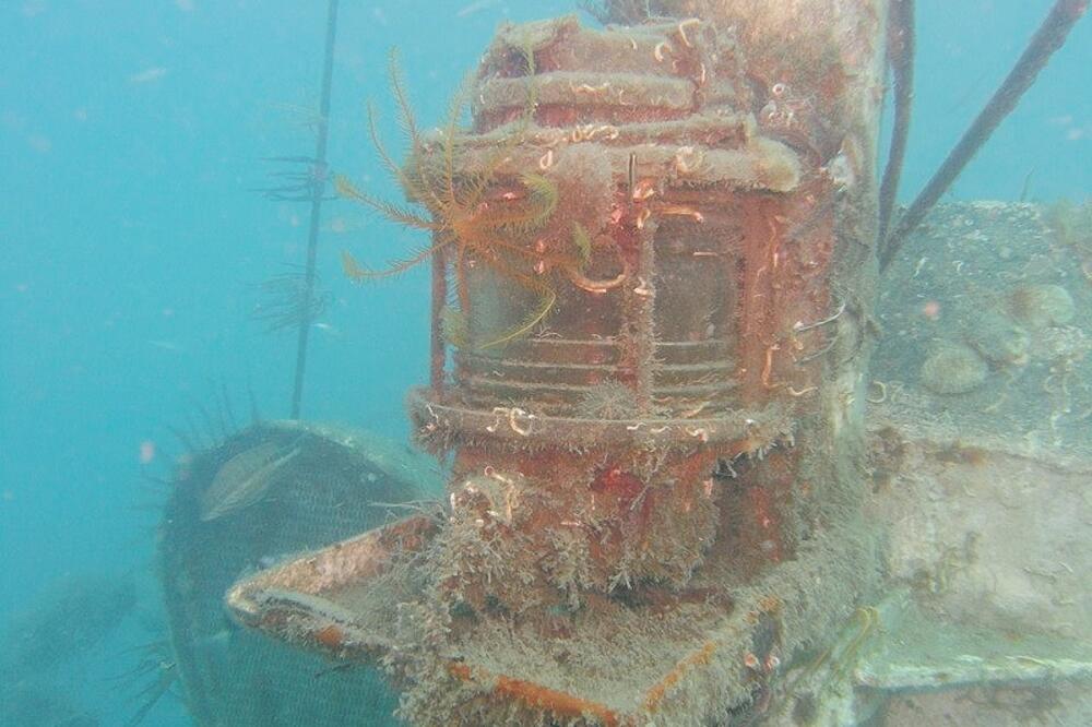 Špiridon, Foto: Privatna arhiva