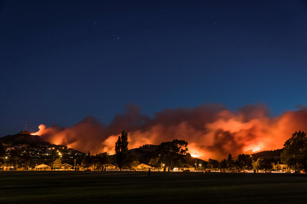 Novi Zeland, požar, Foto: Reuters