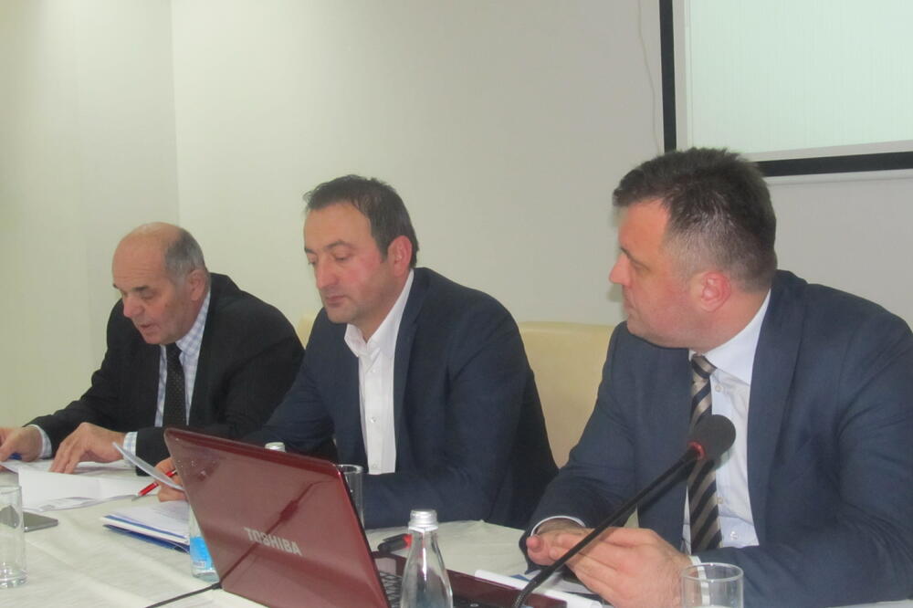 Zlatko Vujović, panel, Foto: Jadranka Ćetković