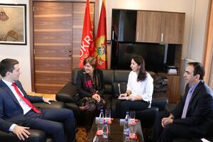 Bečić: Bojkot dok se ne odredi datum ponavljanja izbora