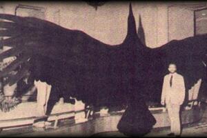 Ovako je izgledala najveća ptica u istoriji koja je letjela