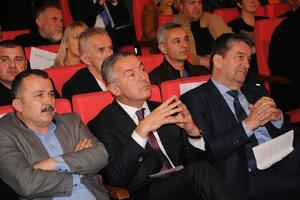 "Bitka za Nikšić": Kad i lokalni izbori postanu istorijski