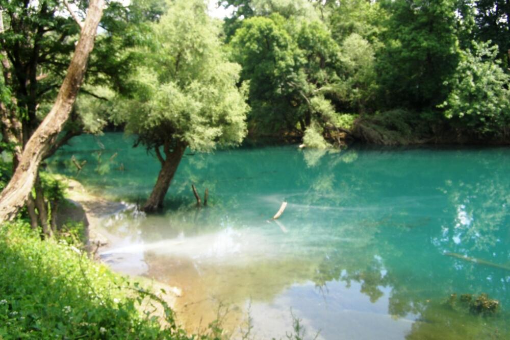 Zeta, otpad, kanalizacija, Foto: Jelena Jovanović