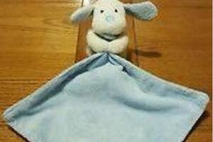 Pronađimo Vufa: Porodica iz Britanije pokušava da nađe igračku...