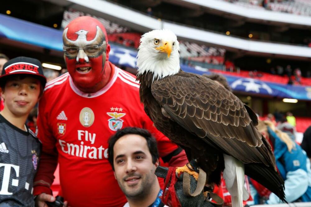 Benfika, Foto: Reuters