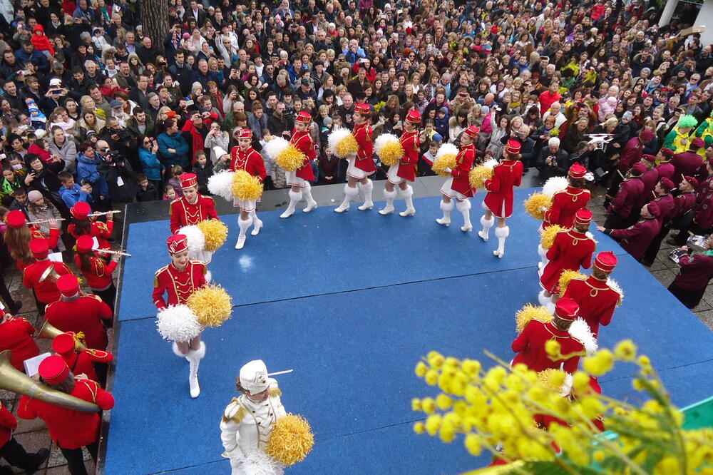 Herceg Novi, praznik mimoze, Foto: Slavica Kosić