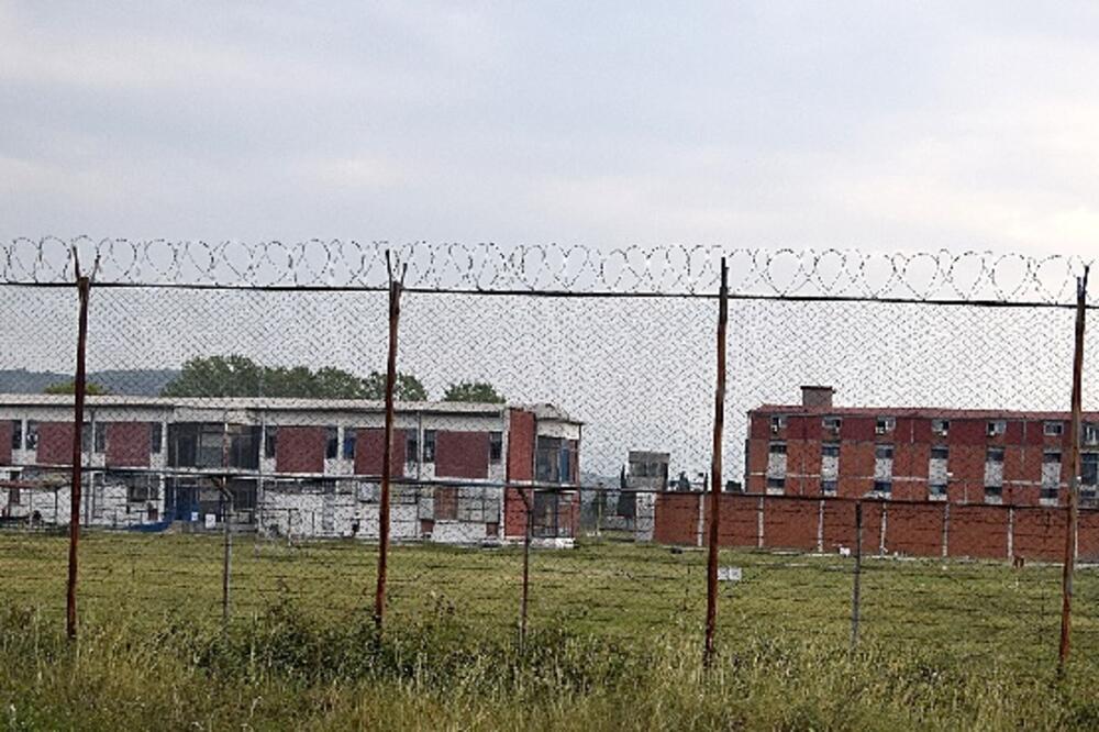 ZIKS, Foto: Boris Pejović