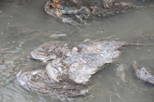 Zdravstveno sanitarna inspekcija: Voda sa Breznice nije za piće