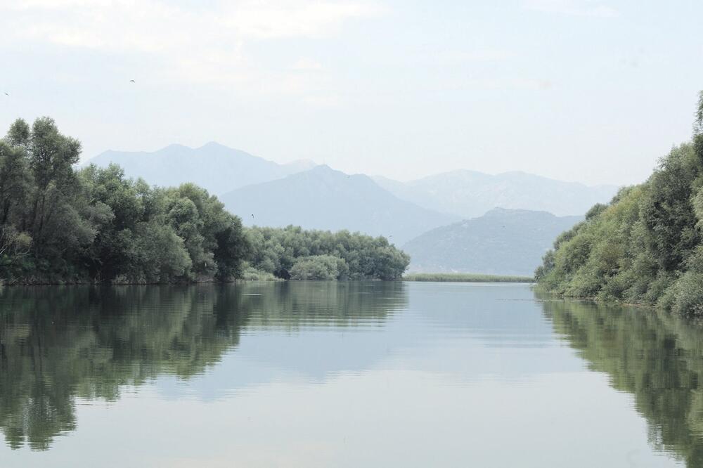 Skadarsko jezero, Foto: Savo Prelević