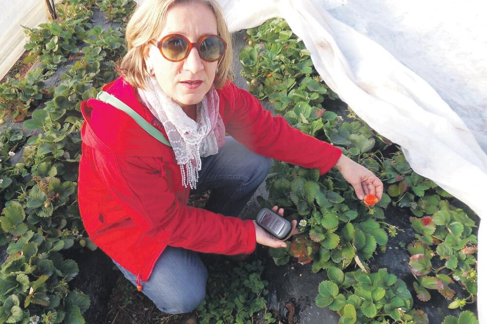 Ljiljana Pajović, Foto: Privatna arhiva