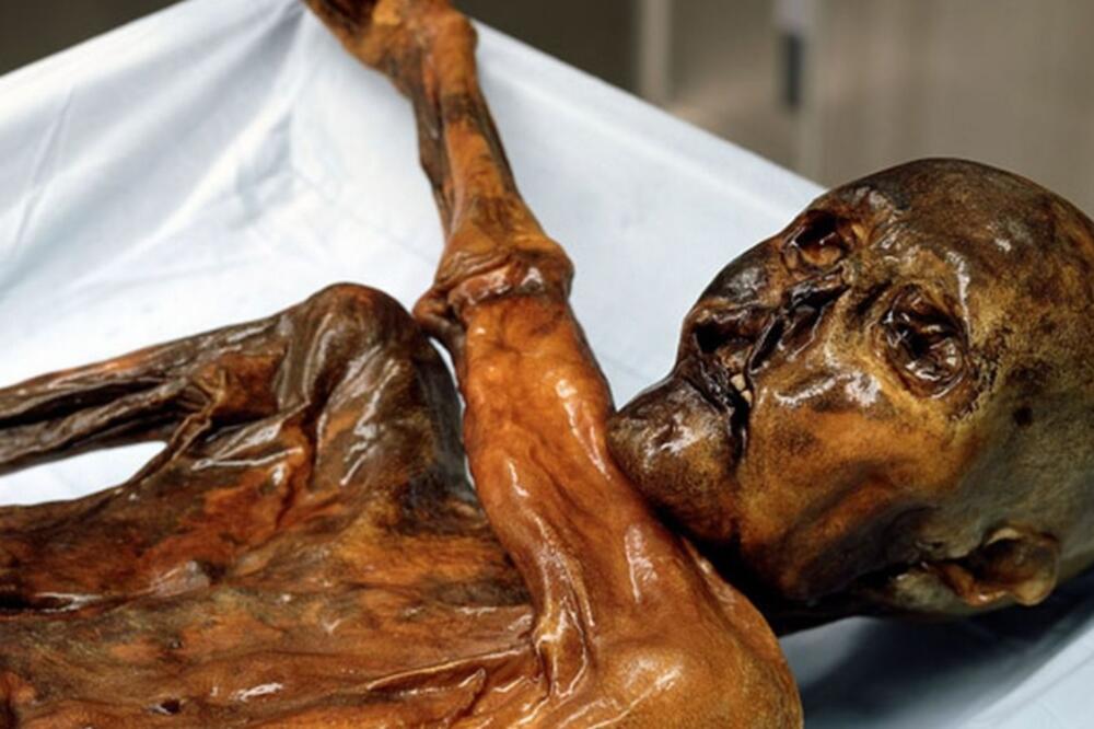 Eci, Foto: Twitter.com