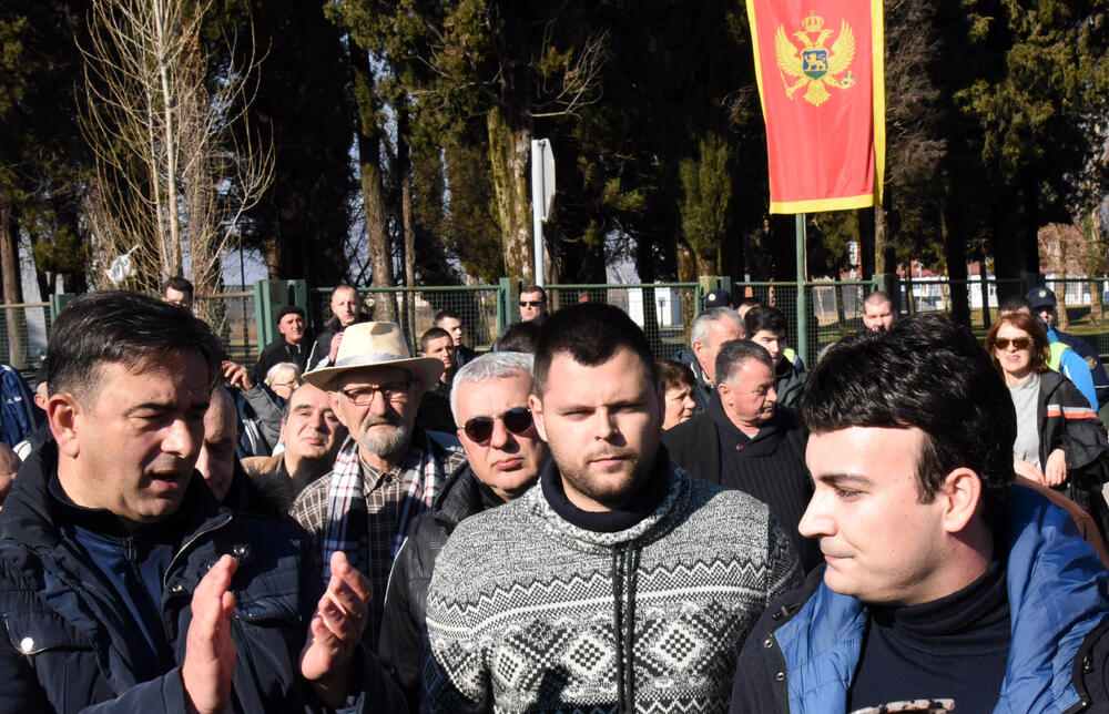 DF protestni marš, Nikola Bajčetić