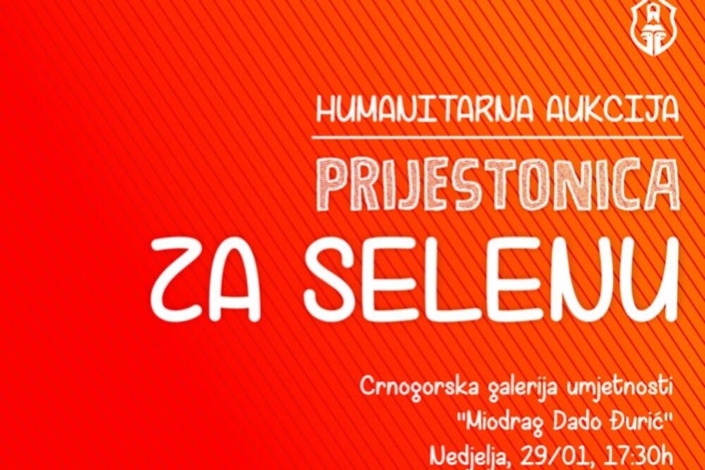 humanitarna akcija, prijestonica, Selena Mandić, Foto: Cetinje.me