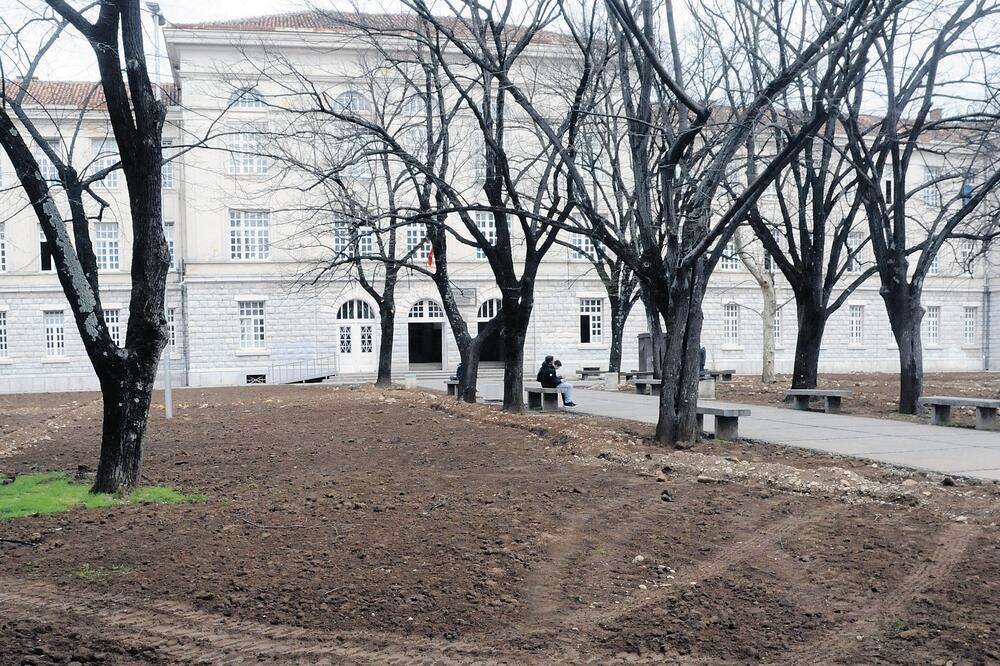 Gimnazija "Slobodan Škerović", Foto: Luka Zeković