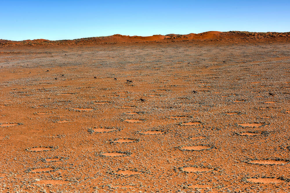 krugovi, pustinja Namib, Foto: Shutterstock