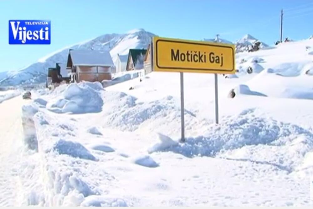 Motički gaj, Foto: Printscreen (YouTube)