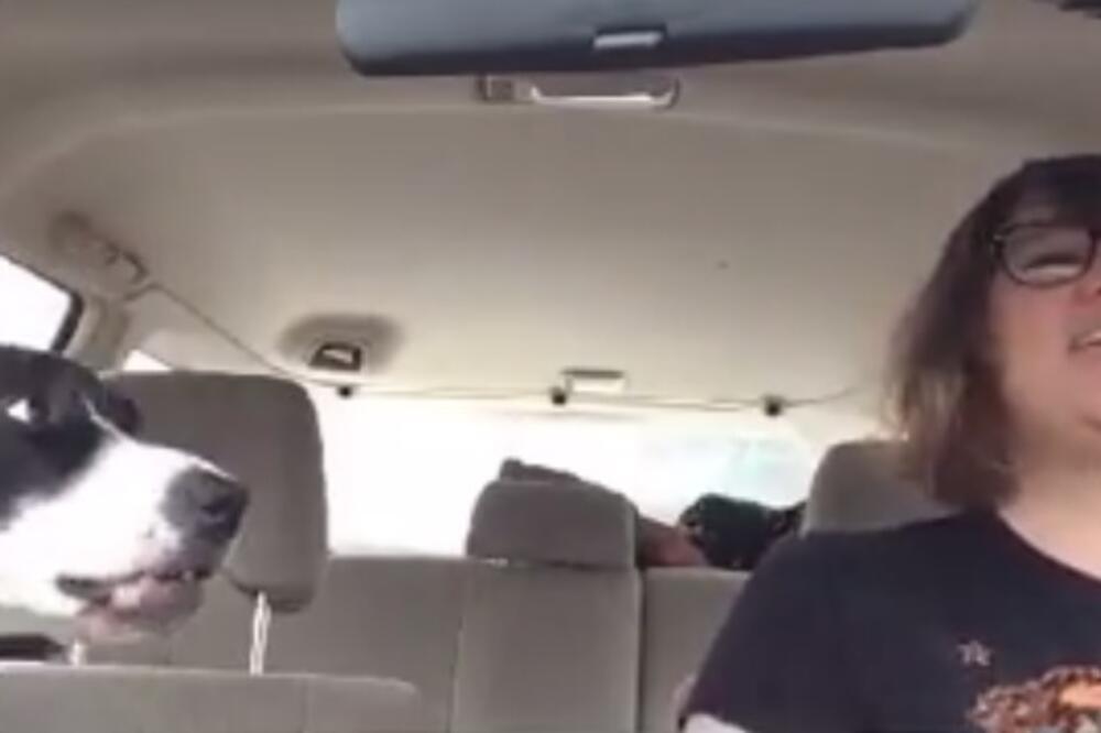 Melisa, pas, Foto: Screenshot (YouTube)