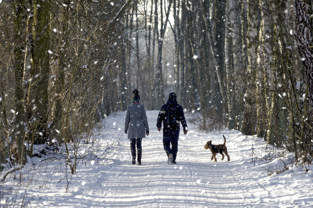 hladnoća, šetnja, Foto: Shutterstock
