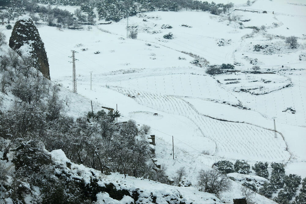 snijeg Malaga, Foto: Reuters