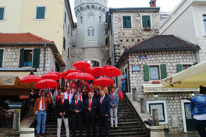 Demokrate: Presude Upravnog suda dokazale da u HN vlada partijski...