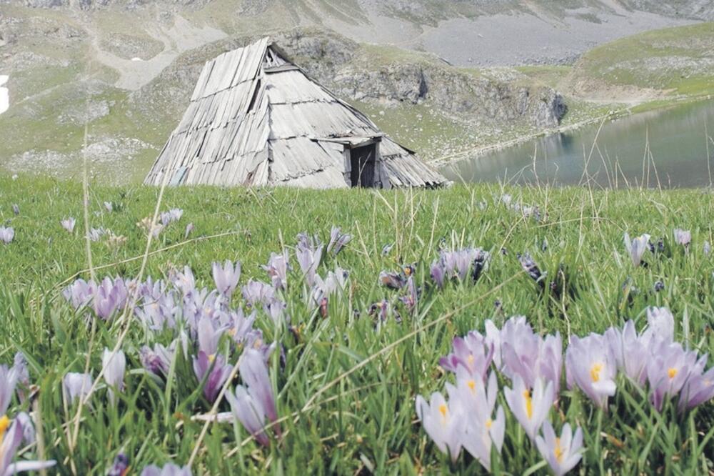 Kapetanovo jezero, Foto: B. Jeknić