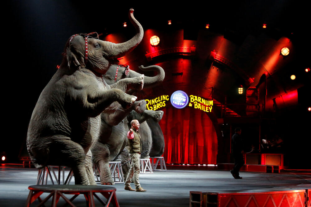 cirkus Ringling Bros, Foto: Reuters