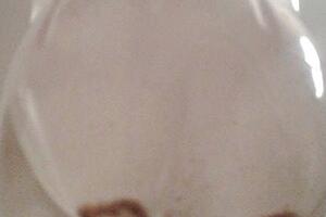 Iz česmi na Žabljaku tekla  prljava  voda