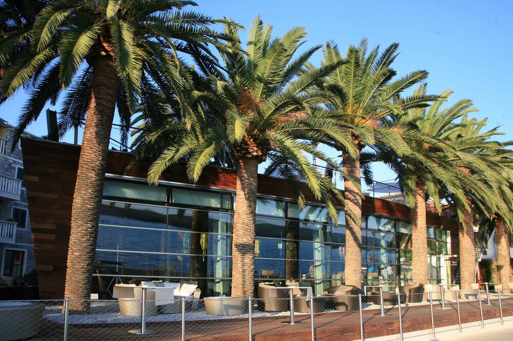 Prova, Foto: Siniša Luković