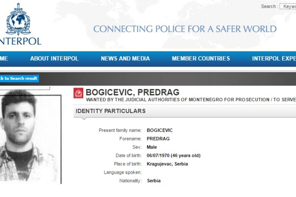 Predrag Bogićević, Foto: Interpol.int
