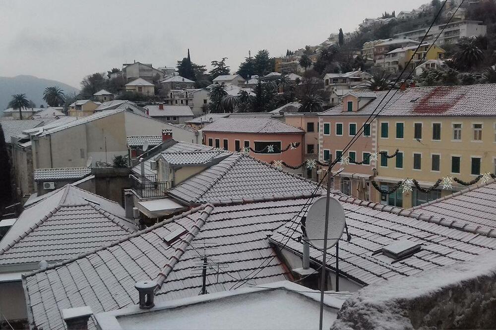 snijeg, Herceg Novi, Foto: Čitalac reporter