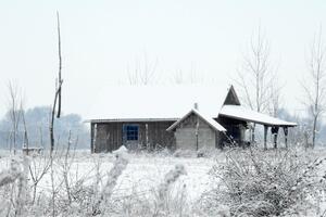 Srbija: Otac i sin pronađeni smrznuti u snijegu u selu kod...